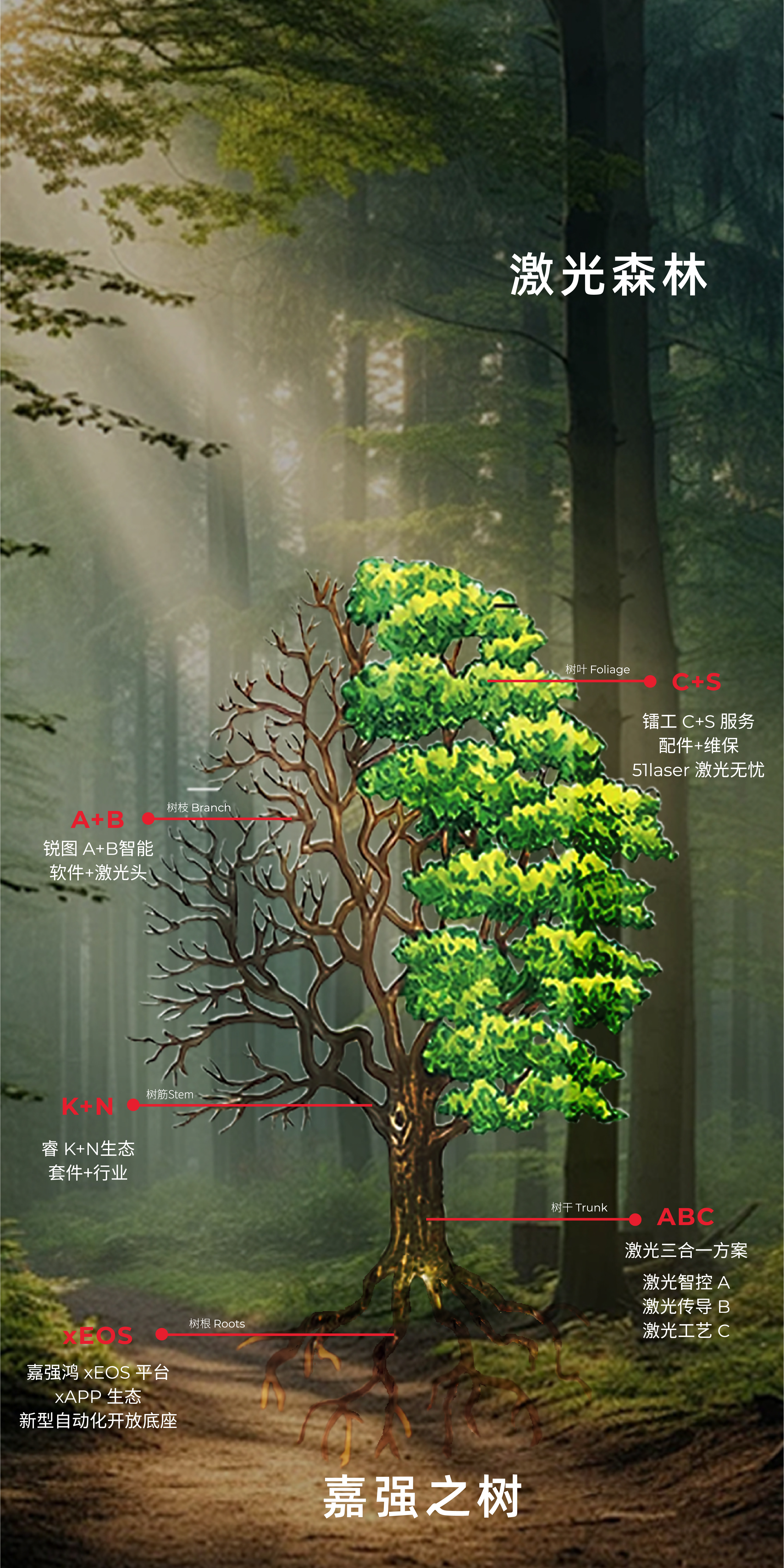 嘉强-背景树（3000x6000）_画板 1.jpg